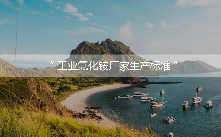 工業(yè)氯化銨廠家生產(chǎn)標(biāo)準(zhǔn)，生產(chǎn)過(guò)程進(jìn)行嚴(yán)密的監(jiān)控！